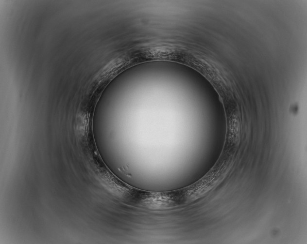 X0000101150278200806270950