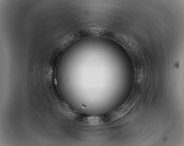 X0000101150279200806270950