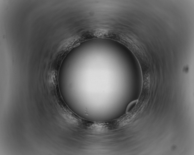 X0000101150280200806270950