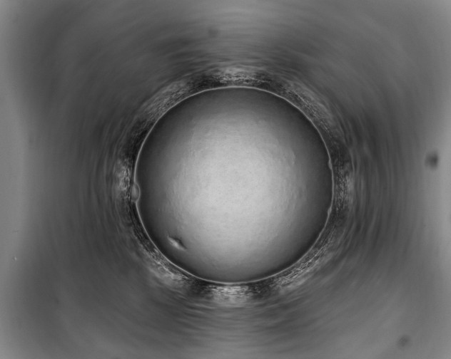 X0000101150281200806270950