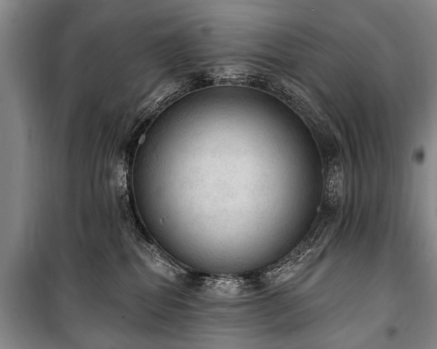 X0000101150282200806270950