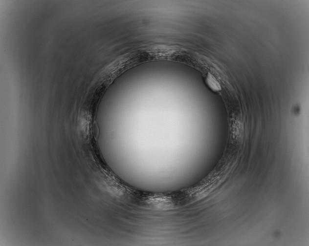 X0000101150283200806270950