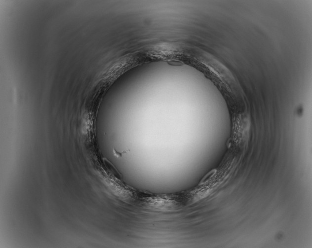 X0000101150284200806270950