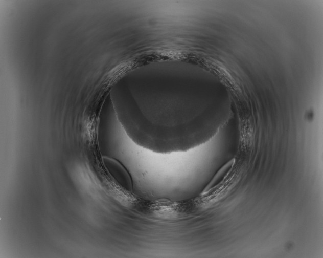 X0000101150285200806270950