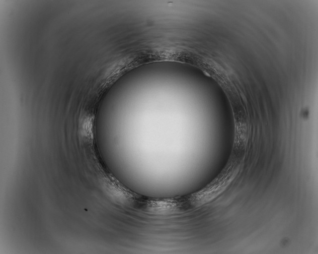 X0000101150286200806270950