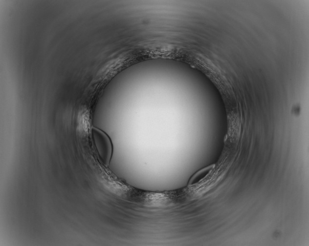 X0000101150287200806270950