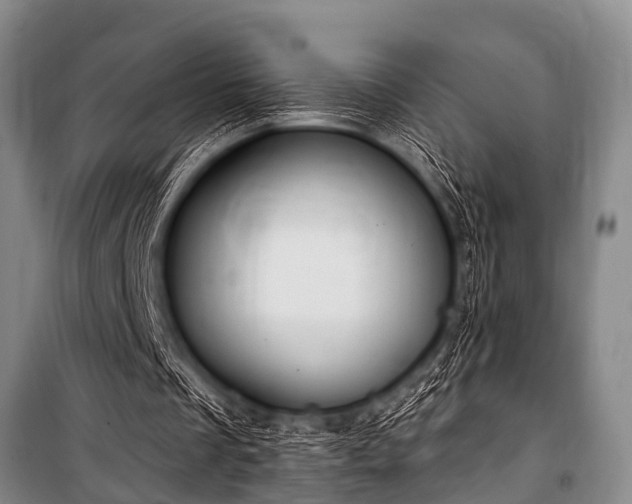 X0000101150289200806270950