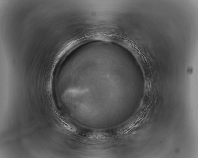 X0000101150292200806270950