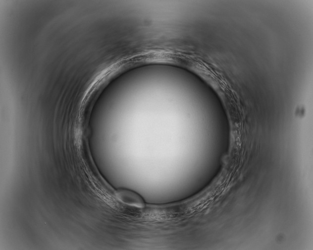 X0000101150293200806270950