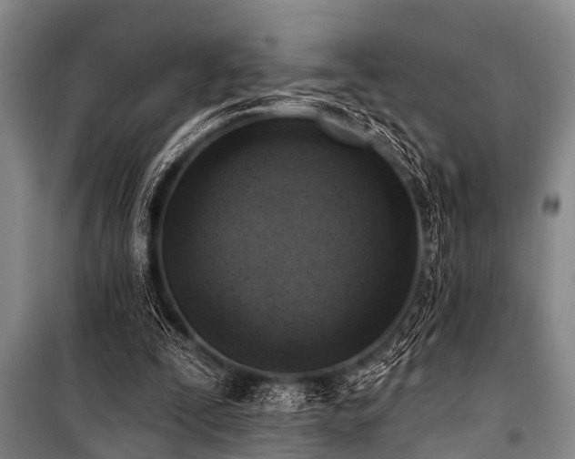 X0000101150295200806270950