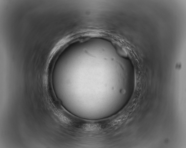 X0000101150296200806270950