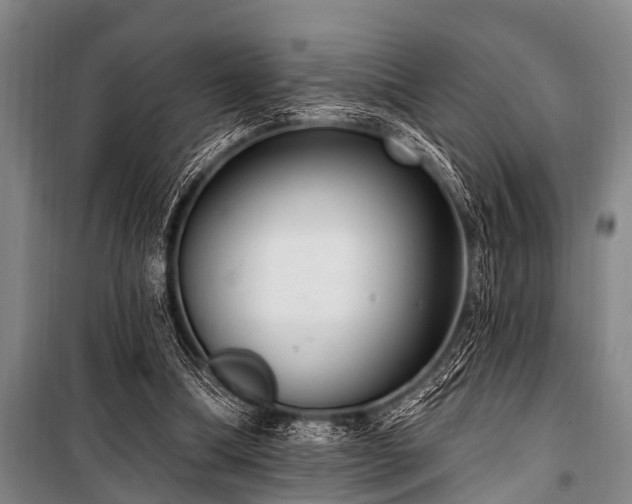 X0000101150298200806270949