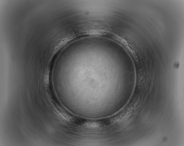 X0000101150299200806270949