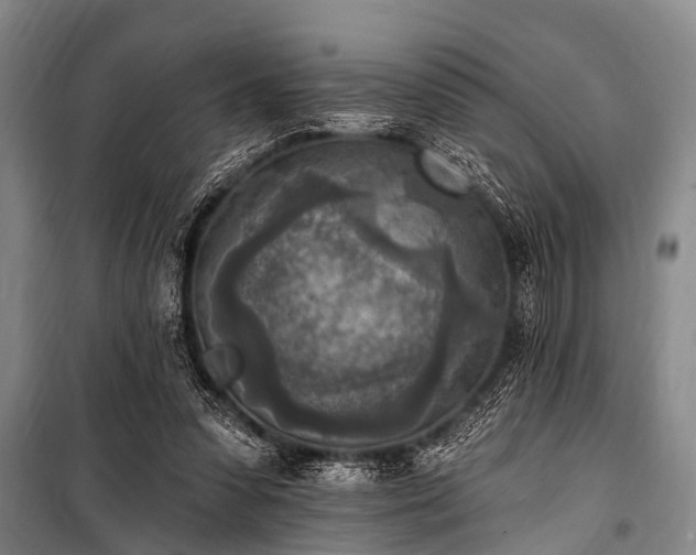 X0000101150303200806270949