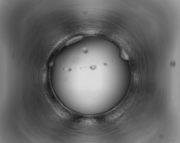 X0000101150304200806270949