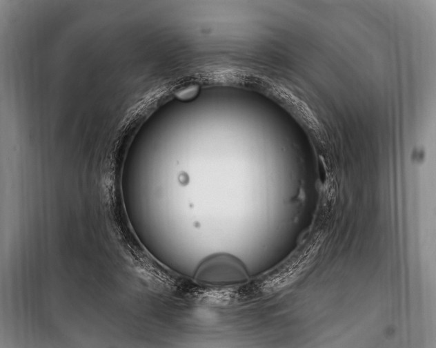 X0000101150306200806270949