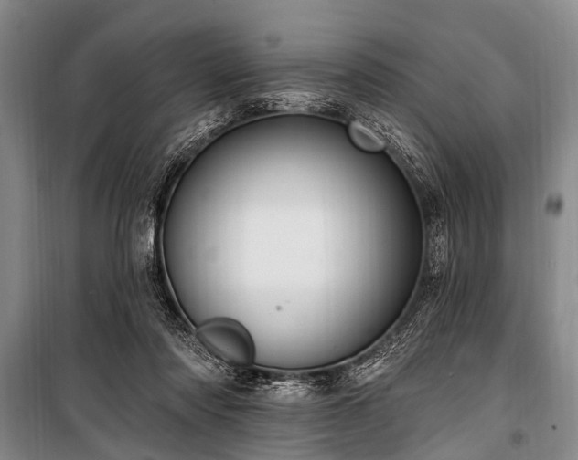 X0000101150310200806270949