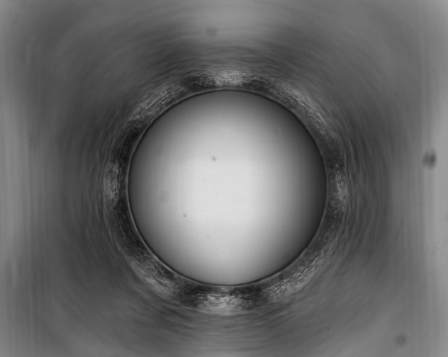 X0000101150311200806270949