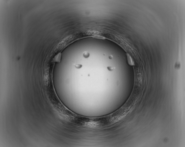 X0000101150312200806270949