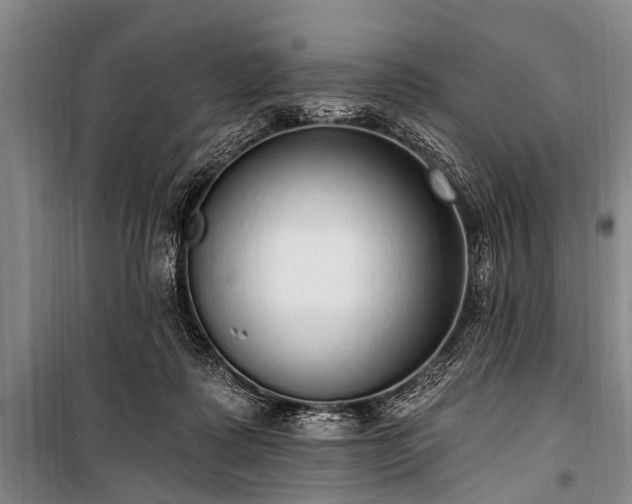 X0000101150315200806270949