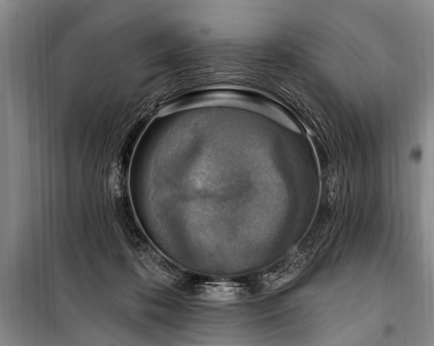 X0000101150316200806270949