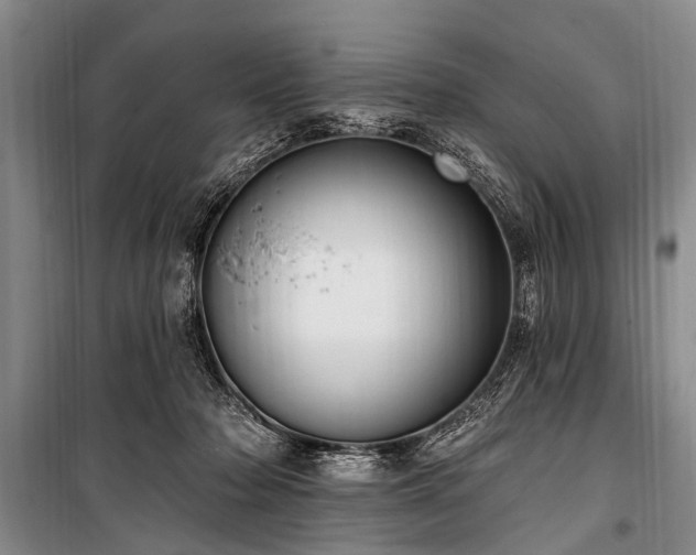 X0000101150318200806270949