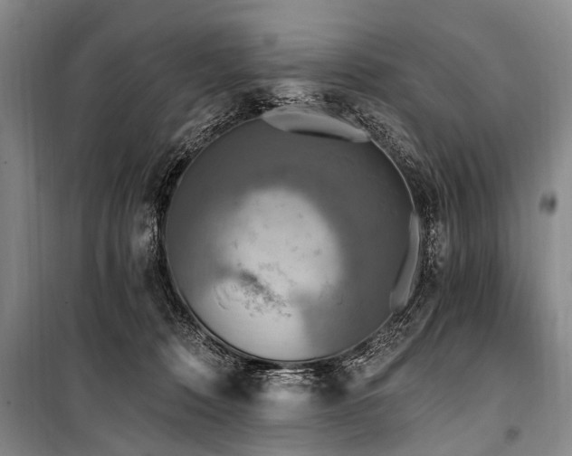 X0000101150320200806270949