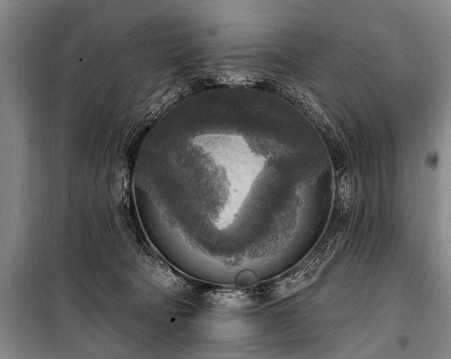 X0000101150322200806270949
