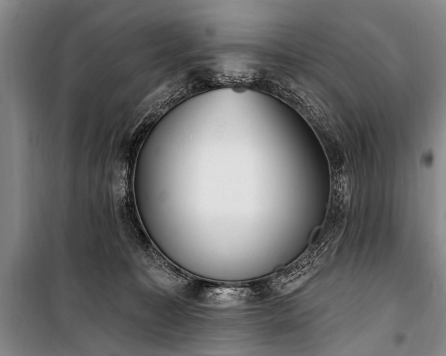 X0000101150323200806270949