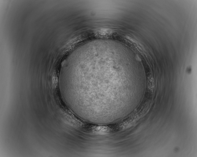 X0000101150324200806270949