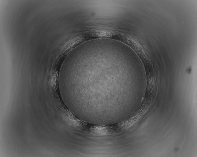 X0000101150325200806270949