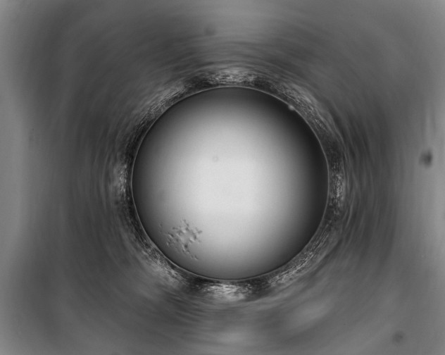 X0000101150326200806270949