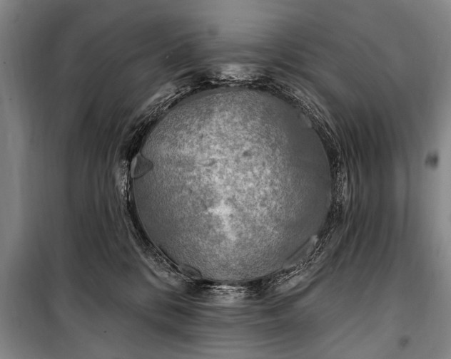 X0000101150328200806270949
