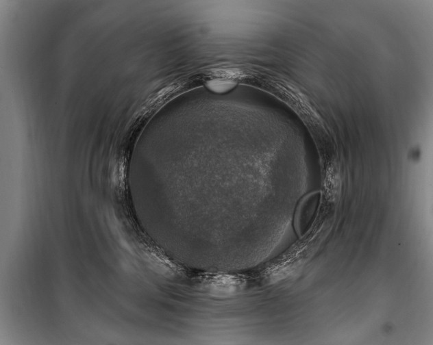 X0000101150330200806270949