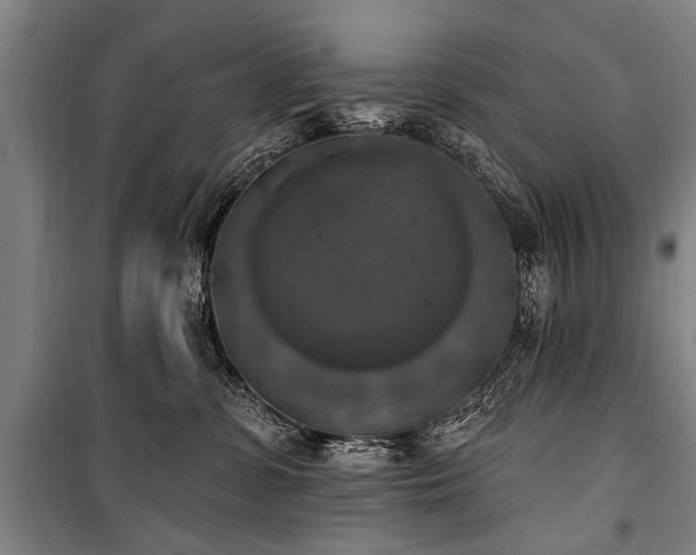 X0000101150331200806270949