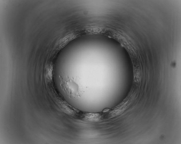 X0000101150334200806270949