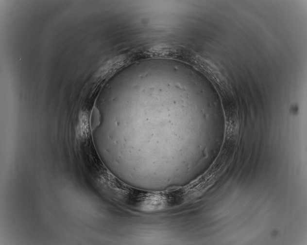 X0000101150335200806270949