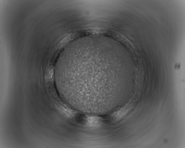 X0000101150336200806270949