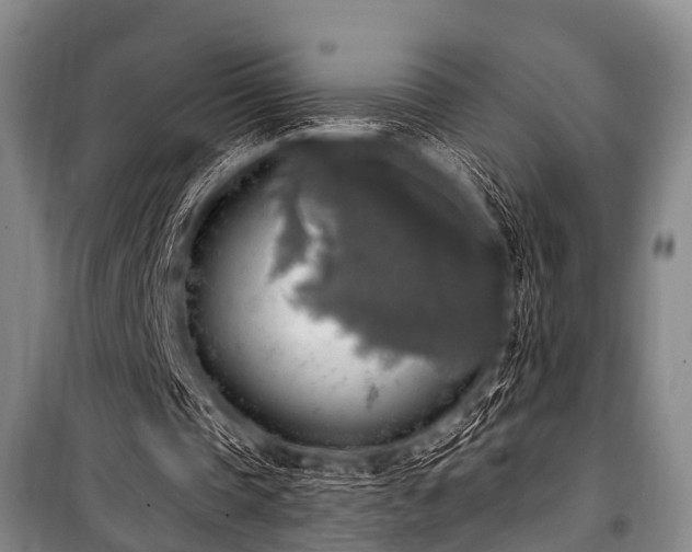 X0000101150337200806270948