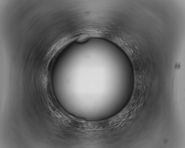 X0000101150338200806270948