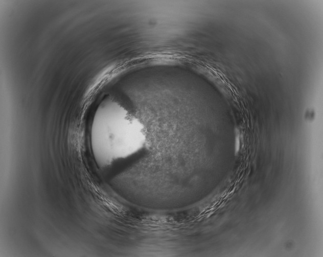 X0000101150339200806270948