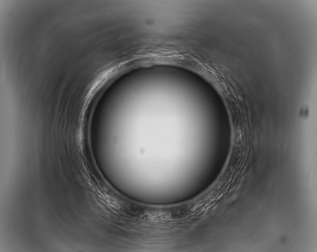 X0000101150340200806270948