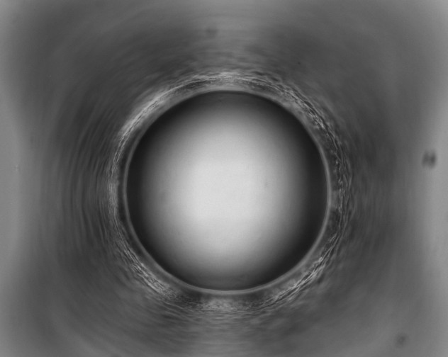 X0000101150341200806270948