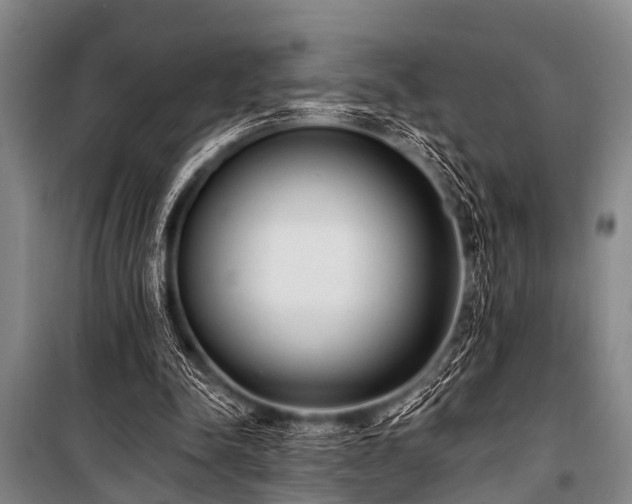X0000101150342200806270948