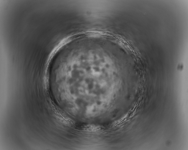 X0000101150343200806270948