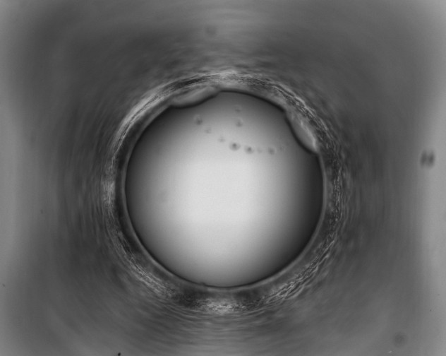 X0000101150344200806270948