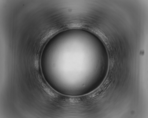X0000101150345200806270948