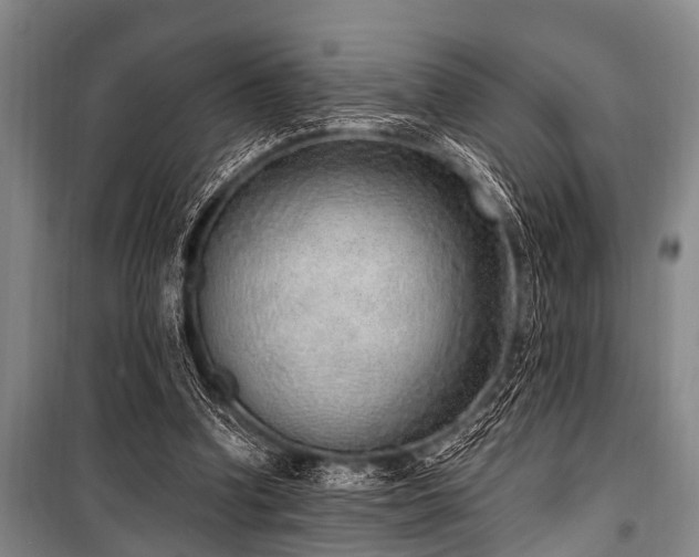 X0000101150346200806270948