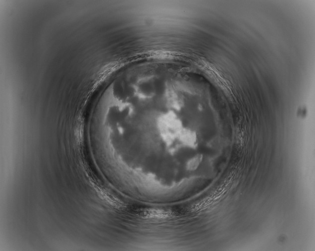 X0000101150347200806270948