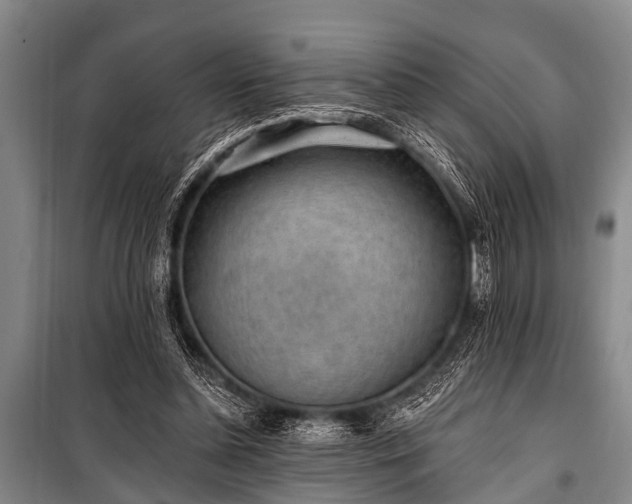 X0000101150348200806270948